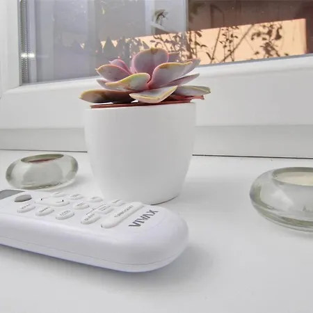 Morich In The Heart Of Old Town With Garden