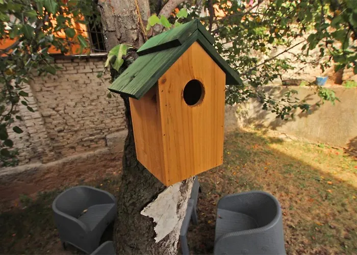 Morich In The Heart Of Old Town With Garden Apartament